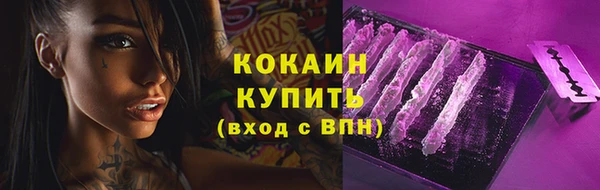 хмурый Аркадак