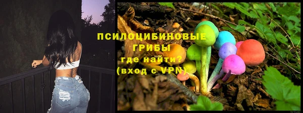 хмурый Аркадак