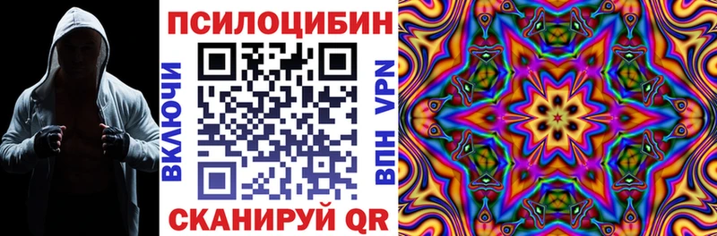 Псилоцибиновые грибы Cubensis  Пласт 
